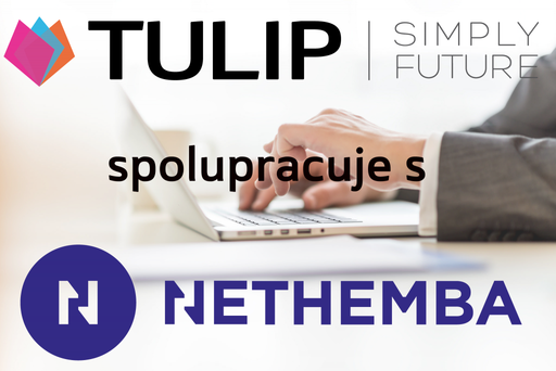 tulip_spoluprace_s_nethemba