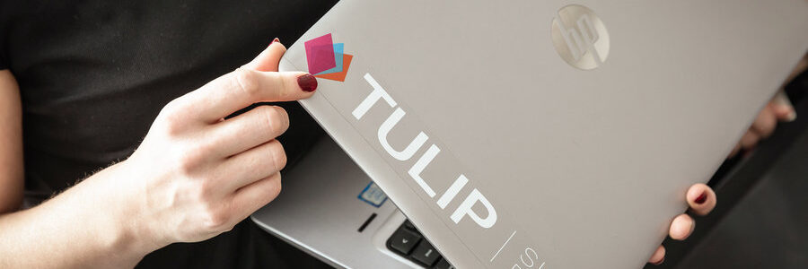 tulip multifaktor