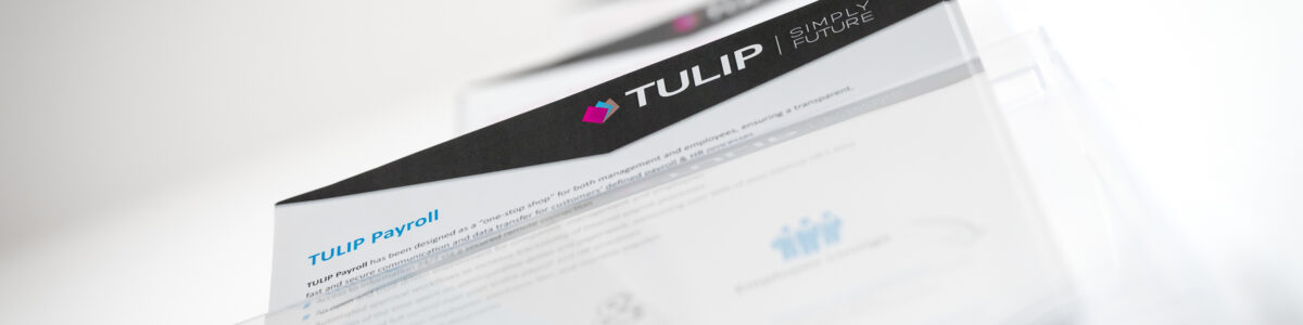 tulip mzdova agenda blog